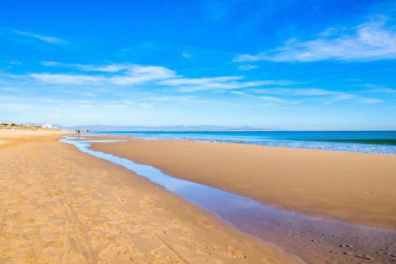 Bosque Playa Flamenca